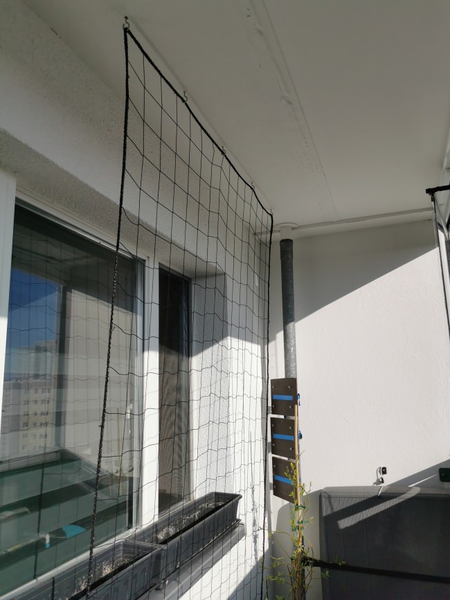 Kundenfoto von Climbing Plant Net by the m² (Trellis Netting), Black 