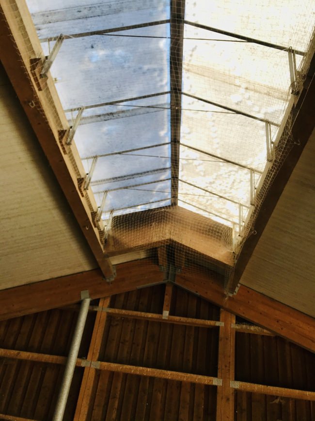 Kundenfoto von Pigeon Protection Net by the m² (Custom-Made) 