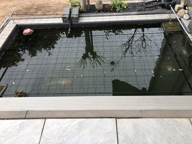 Kundenfoto von Heron Protection Net by the m² (Custom-Made), black 