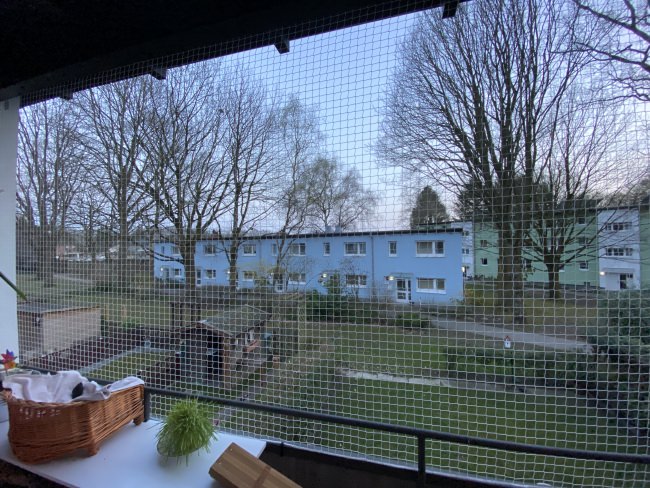 Kundenfoto von Cat Safety Net by the m² (Custom-Made) 