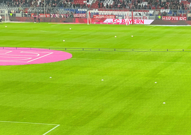 Kundenfoto von Stadion-Ballfangnetz per m² (nach Maß), Hintertornetz 