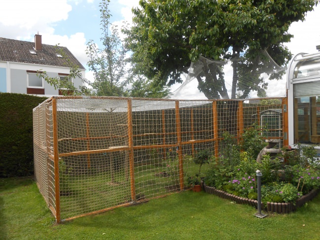 Kundenfoto von Netz nach Maß (per m²) 