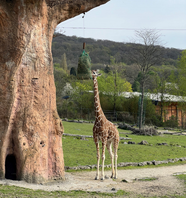 Kundenfoto von Hay Feeding Net by the m² (Custom-Made) 