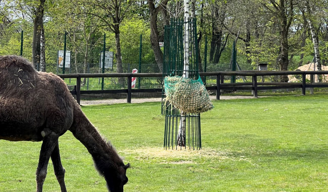 Kundenfoto von Hay Feeding Net by the m² (Custom-Made) 