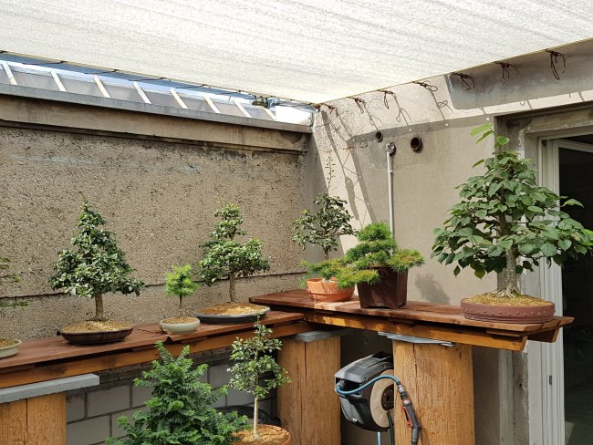 Kundenfoto von Privacy Netting - 50% - by the m² (Custom-Made) 