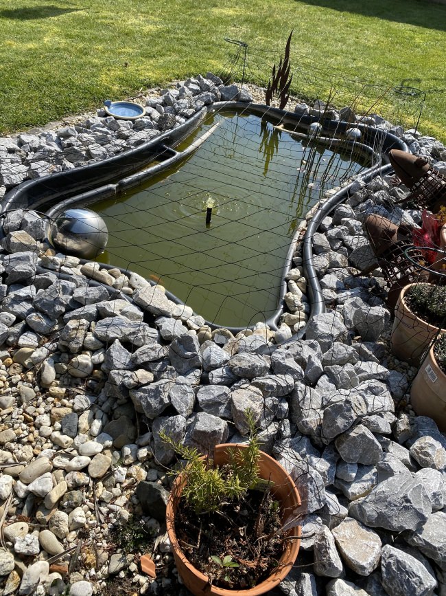 Kundenfoto von Heron Guard Net by the m² (Custom-Made), black 