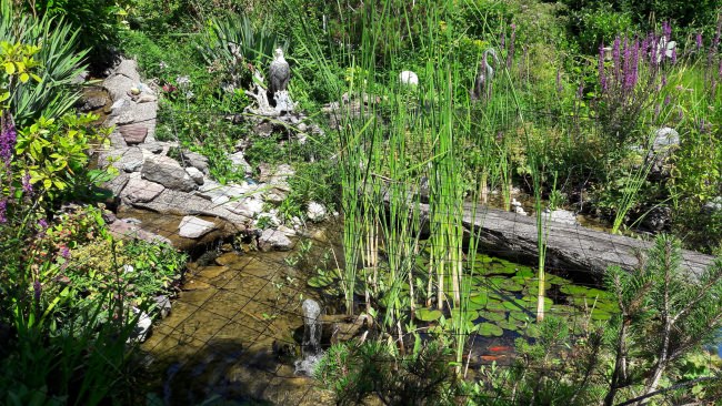 Kundenfoto von Heron Protection Net by the m² (Custom-Made), black 