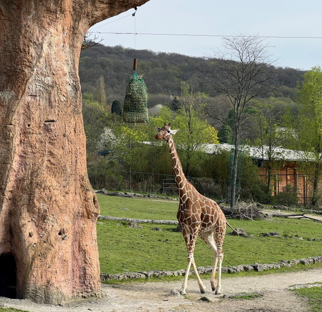 Kundenfoto von Hay Net for Round Bales (45 mm Mesh) 