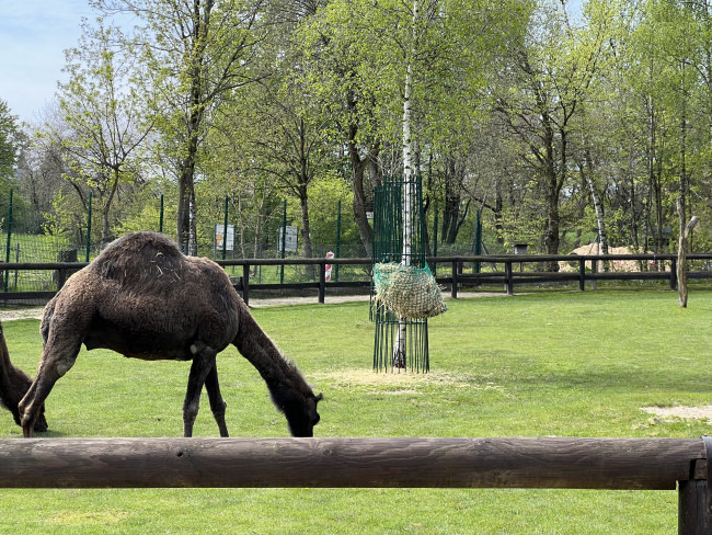 Kundenfoto von Hay Net for Round Bales (45 mm Mesh) 