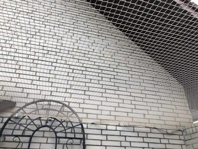 Kundenfoto von Close-Meshed Bird Net with Border (Made to Measure) 