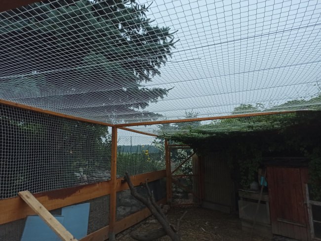 Kundenfoto von Volieren-Schutznetz per m² (nach Maß) 
