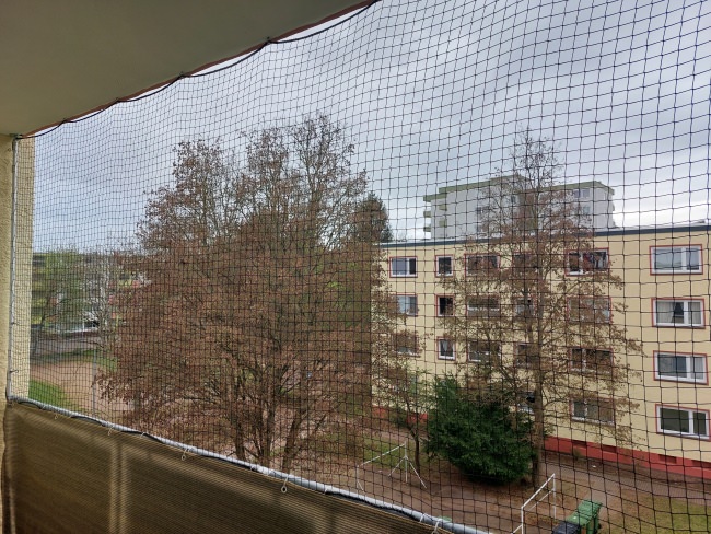 Kundenfoto von Cat Safety Net by the m² (Custom-Made) 