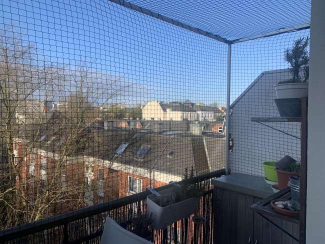 Kundenfoto von Cat Safety Net by the m² (Custom-Made) 