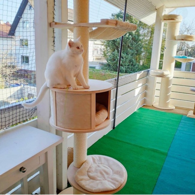 Kundenfoto von Cat Net by the m² (Made to Measure) 