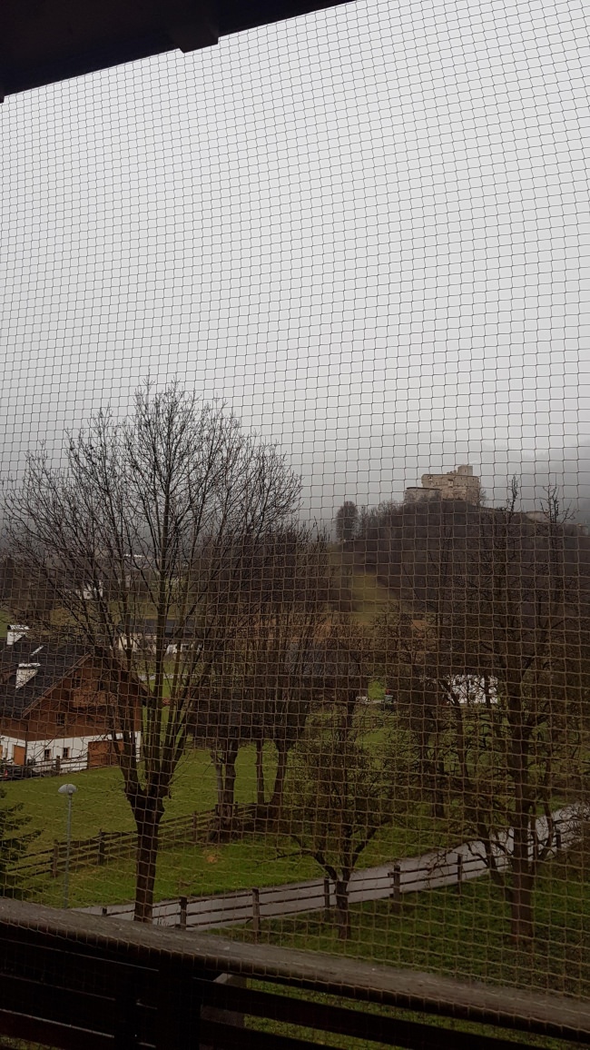 Kundenfoto von Bird Protection Net with Border, by the m² (Custom-Made) 