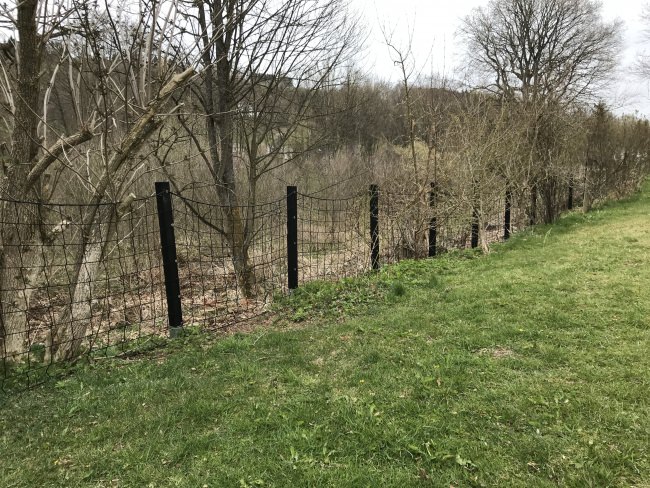 Kundenfoto von Fußballfangnetz per m² (nach Maß) 