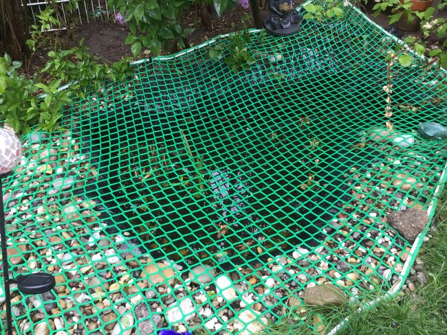Kundenfoto von Pond Net (Fall Safety Net) by the m² 