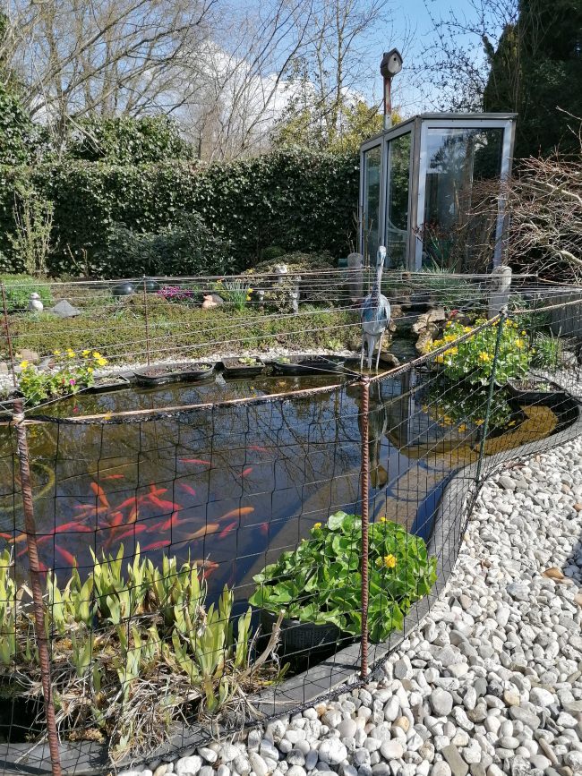 Kundenfoto von Schutznetz per m² (nach Maß) 1,5/50 mm 