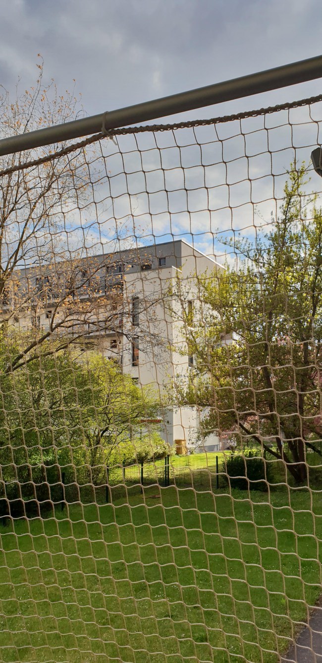 Kundenfoto von Bird Protection Net with Border, by the m² (Custom-Made) 