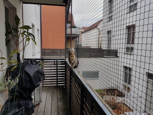 Kundenfoto von Sicherheitsnetz per m² (nach Maß) 1,5/30 mm 