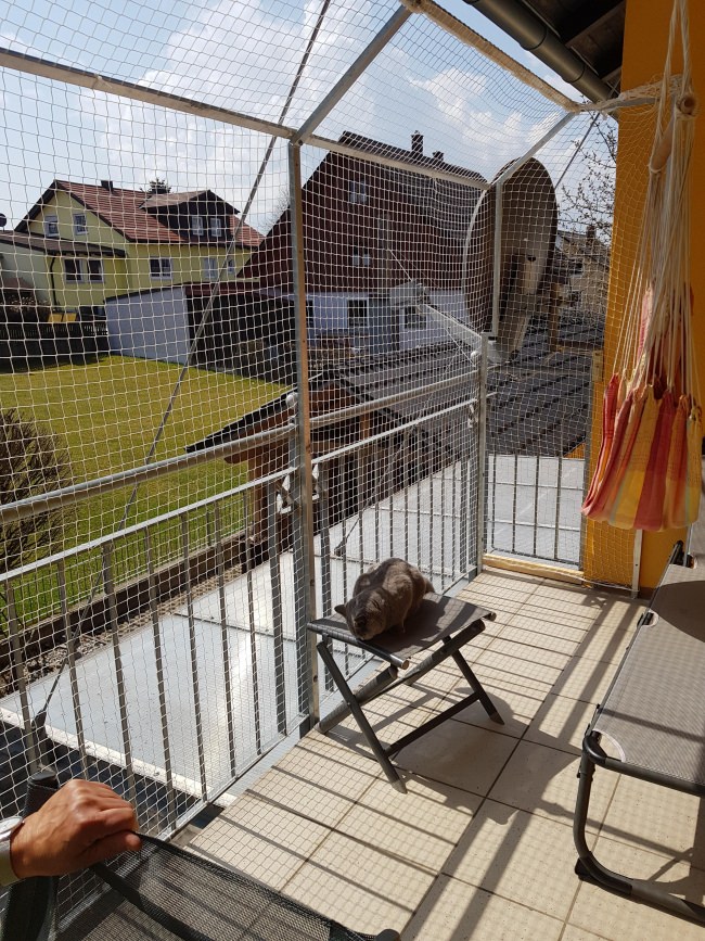 Kundenfoto von Cat Safety Net by the m² (Custom-Made) 