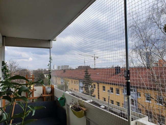 Kundenfoto von Cat Safety Net by the m² (Custom-Made) 