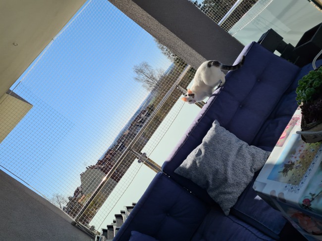 Kundenfoto von Cat Safety Net by the m² (Custom-Made) 