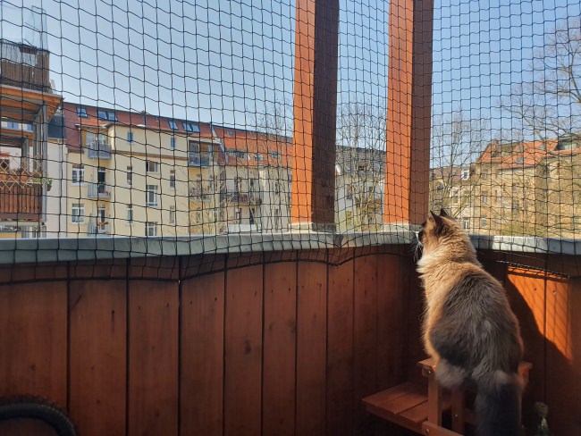 Kundenfoto von Cat Safety Net by the m² (Custom-Made) 