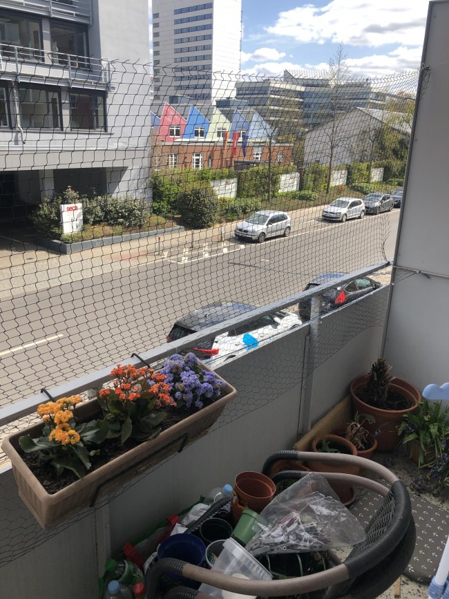 Kundenfoto von Vogelschutznetz per m² (nach Maß) 