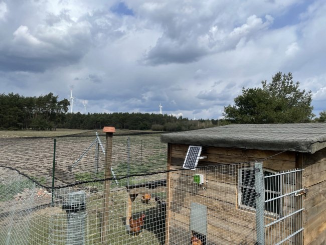 Kundenfoto von Aviary Net by the m² (Custom-Made), black 