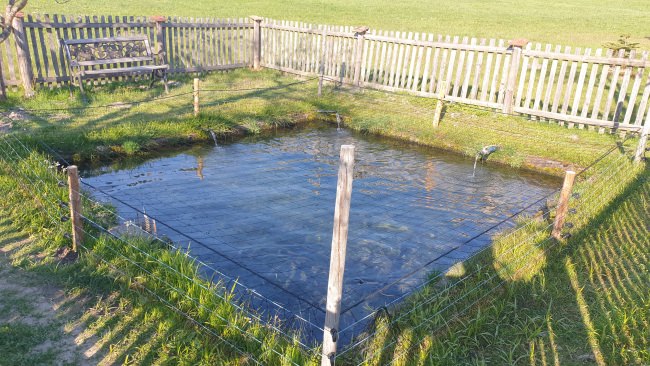 Kundenfoto von Heron Guard Net by the m² (Custom-Made), black 