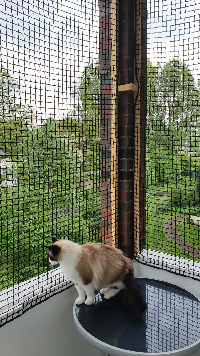 Kundenfoto von Extra Strong Cat Safety Net, Custom-Made 