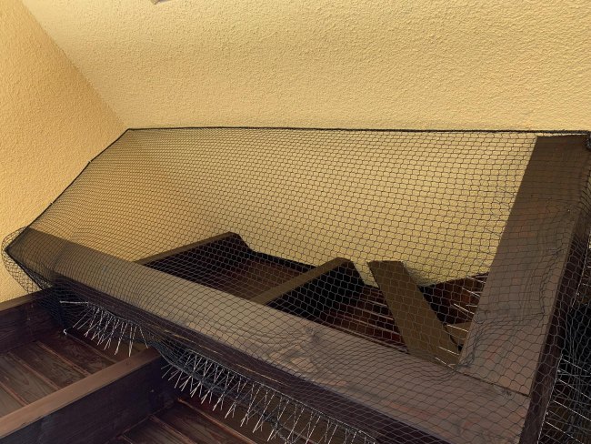 Kundenfoto von Close-Meshed Bird Net with Border (Made to Measure) 