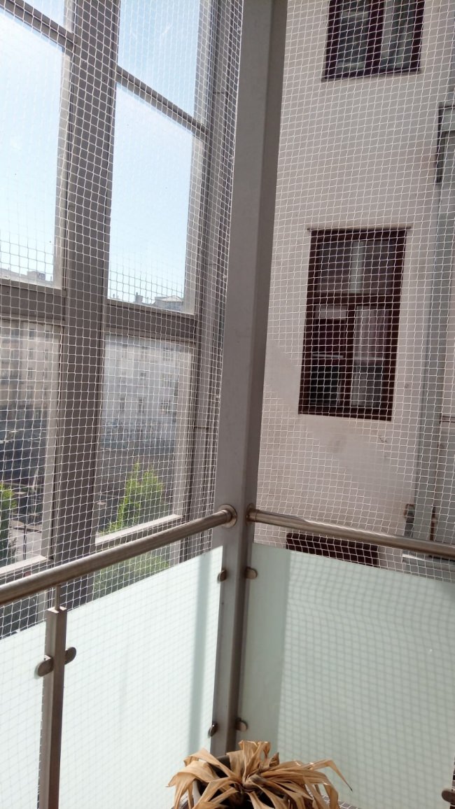 Kundenfoto von Bird Protection Net with Border, by the m² (Custom-Made) 