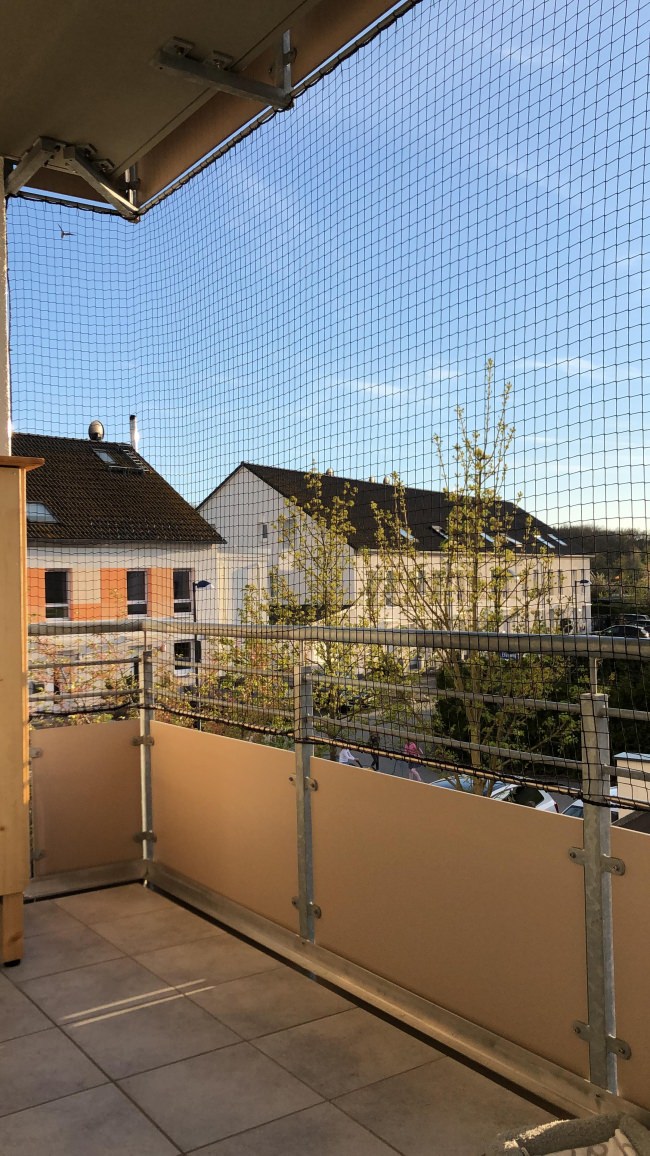 Kundenfoto von Cat Safety Net by the m² (Custom-Made) 