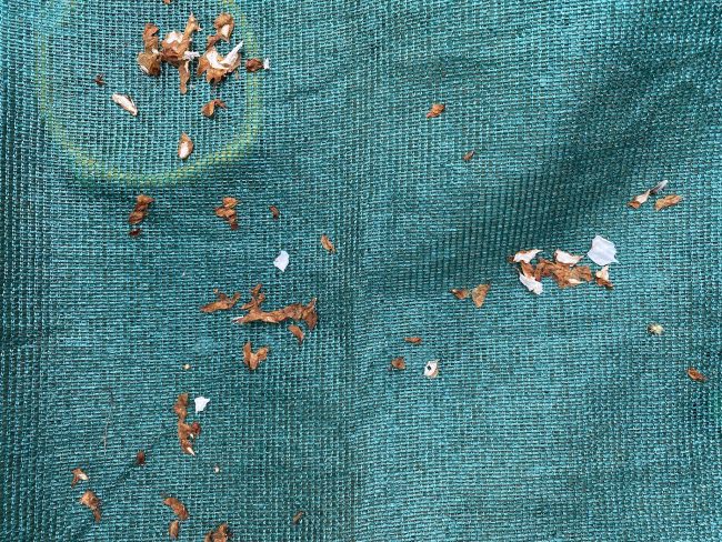 Kundenfoto von Sandbox Cover Sheet by the m² (Custom-Made) 