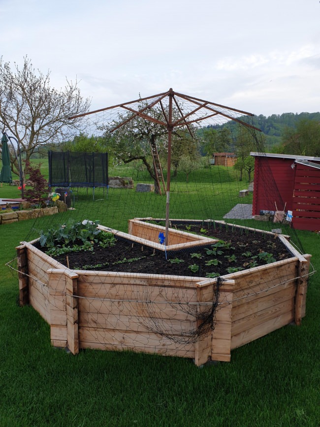 Kundenfoto von Heron Guard Net by the m² (Custom-Made), black 