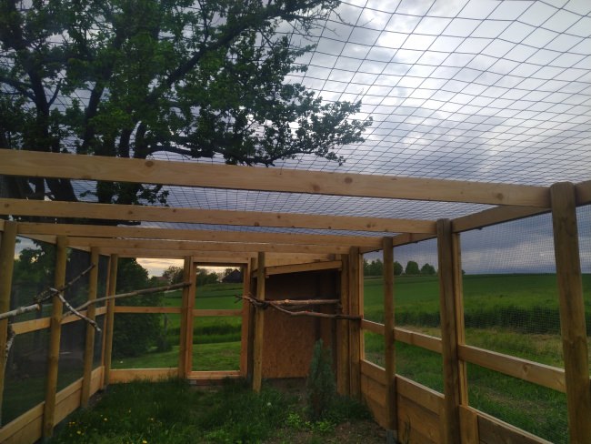 Kundenfoto von Greifvogel-Schutznetz für Hühnergehege nach Maß 