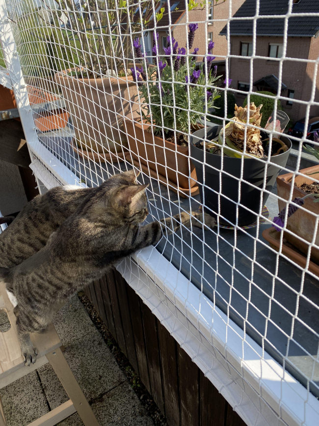 Kundenfoto von Cat Net by the m² (Made to Measure) 