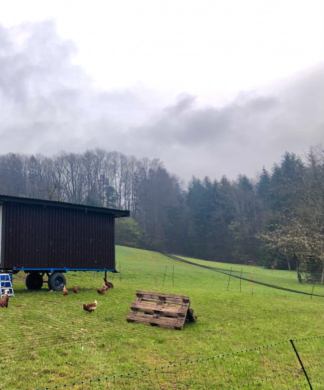 Kundenfoto von Reiher-Schutznetz per m² (nach Maß), schwarz 