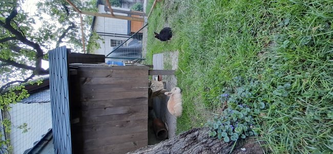 Kundenfoto von Taubenschutznetz per m² (nach Maß) 