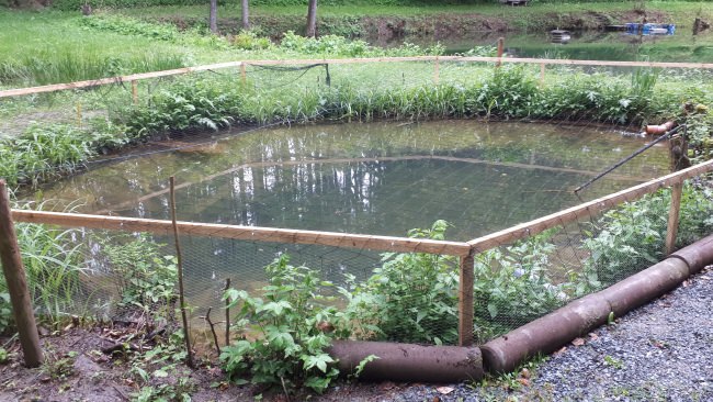 Kundenfoto von Heron Guard Net by the m² (Custom-Made), black 