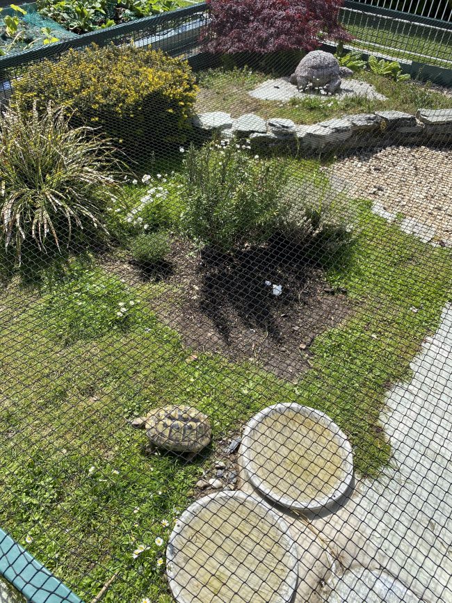 Kundenfoto von Close-meshed Leaf Netting by the m² (Made to Measure) 