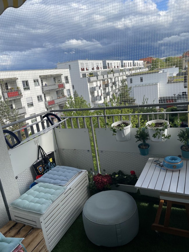 Kundenfoto von Bird Protection Net with Border, by the m² (Custom-Made) 