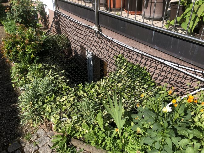 Kundenfoto von Pond Cover Net (Fall Safety Net), Made to Measure 