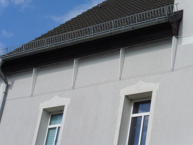 Kundenfoto von Vogelschutznetz per m² (nach Maß) 