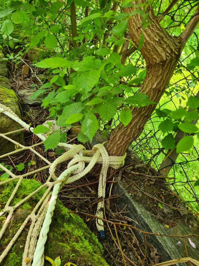 Kundenfoto von Suspension Rope EN Standard 1263-1 