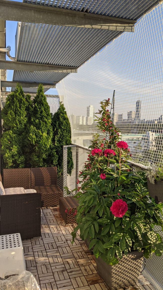 Kundenfoto von Extra Strong Cat Safety Net, Custom-Made 