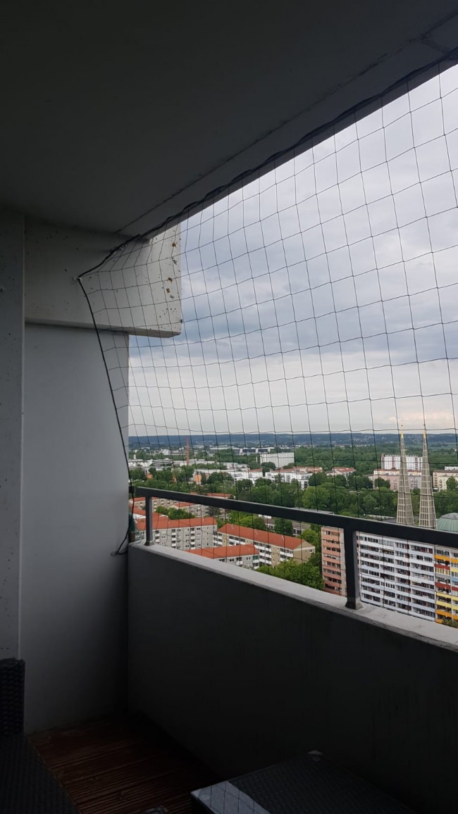 Kundenfoto von Heron Protection Net by the m² (Custom-Made), black 