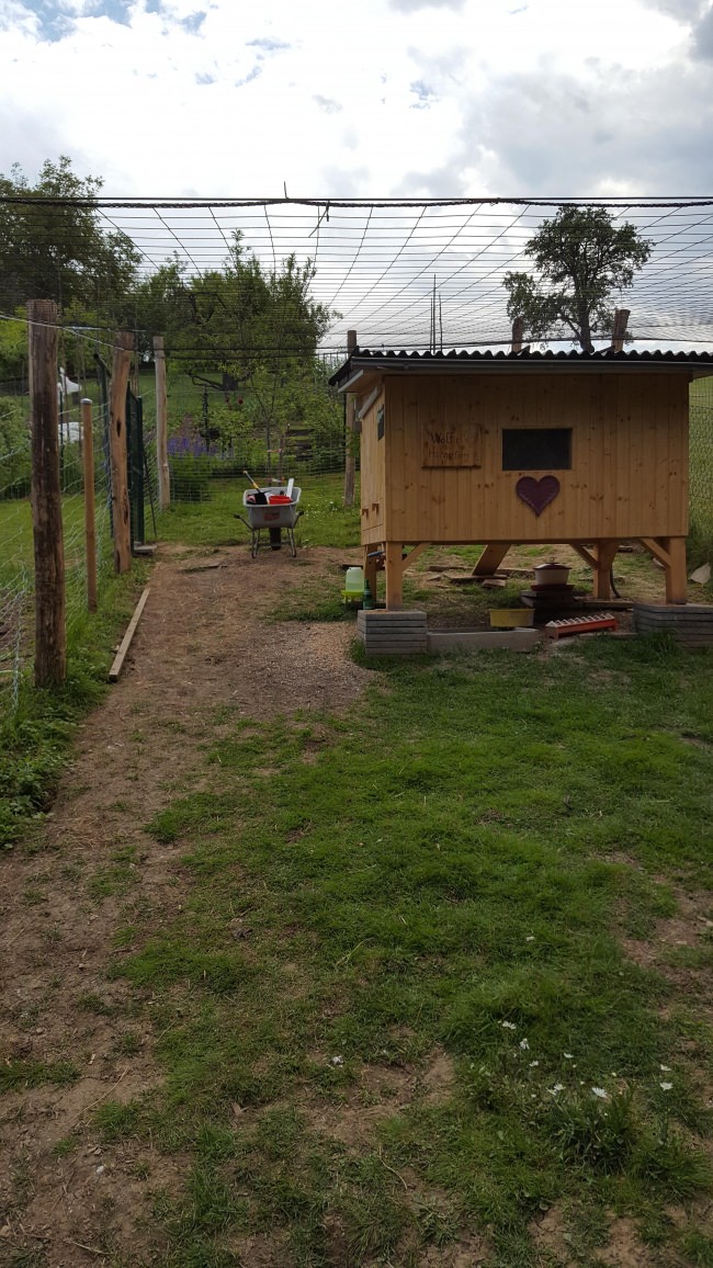 Kundenfoto von Heron Protection Net by the m² (Custom-Made), black 